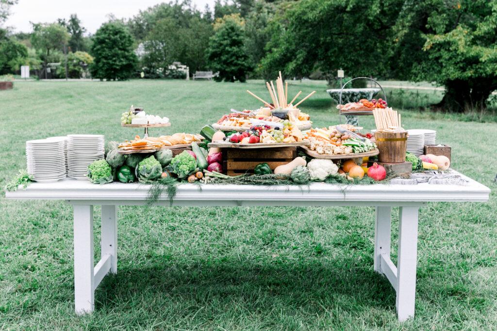 Beautiful catering picnic spread