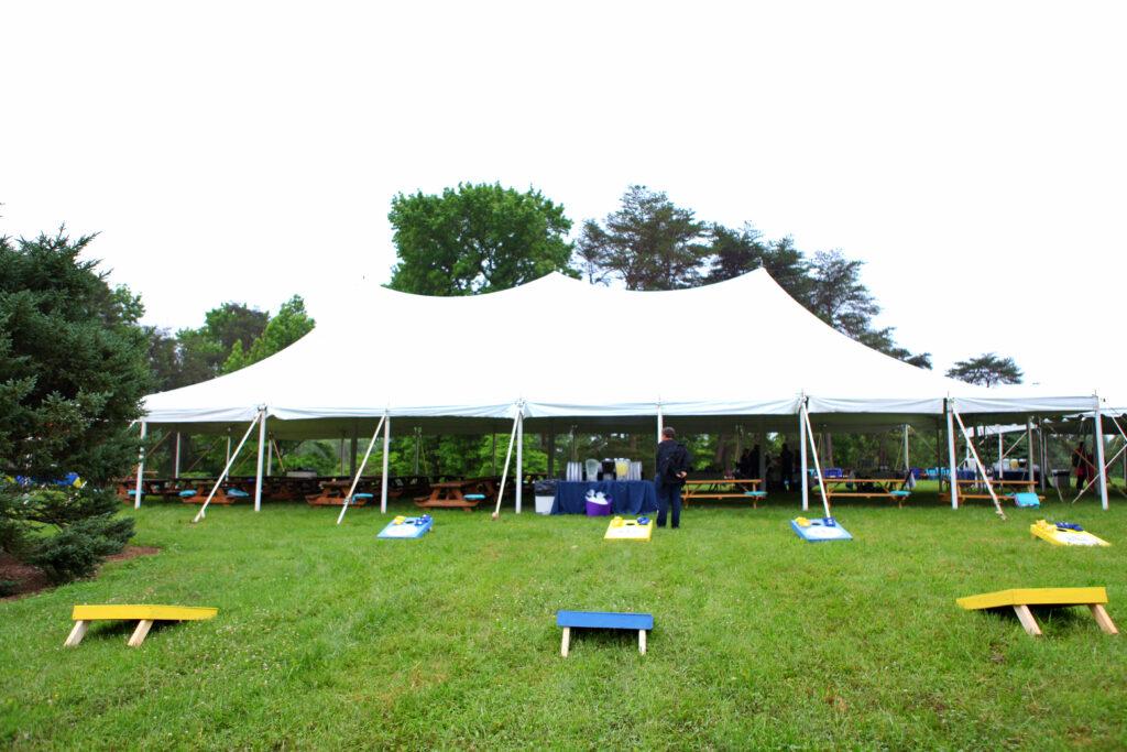 Fun lawn games for picnics